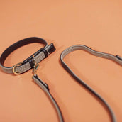 Kentucky Collar Plaited Nylon Beige Kentucky Collar Plaited Nylon Beige