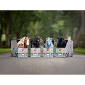 LeMieux Toy Pony Black LeMieux Toy Pony Black