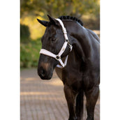 LeMieux Halter Versailles Lilac LeMieux Halter Versailles Lilac