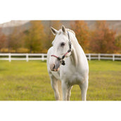 LeMieux Halter Ropella Cranberry LeMieux Halter Ropella Cranberry