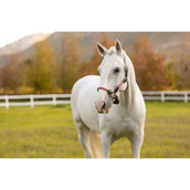 LeMieux Halter Ropella Cranberry LeMieux Halter Ropella Cranberry