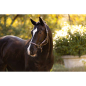 LeMieux Halter Ropella Lilac LeMieux Halter Ropella Lilac