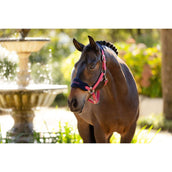 LeMieux Head Collar Set Vogue Cranberry LeMieux Head Collar Set Vogue Cranberry