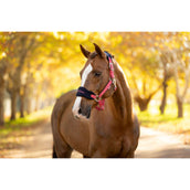 LeMieux Head Collar Set Vogue Cranberry LeMieux Head Collar Set Vogue Cranberry
