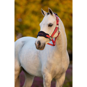 LeMieux Head Collar Set Mini Vogue Cranberry LeMieux Head Collar Set Mini Vogue Cranberry