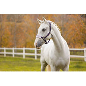 LeMieux Head Collar Set Vogue Juniper LeMieux Head Collar Set Vogue Juniper