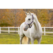 LeMieux Head Collar Set Vogue Juniper LeMieux Head Collar Set Vogue Juniper