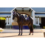 LeMieux Saddlepad Merino Loire Classic Jumping Juniper LeMieux Saddlepad Merino Loire Classic Jumping Juniper