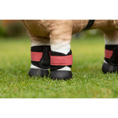 LeMieux Toy Pony Leg Protectors Cranberry LeMieux Toy Pony Leg Protectors Cranberry