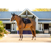 LeMieux Saddlepad Essence Jumping Black LeMieux Saddlepad Essence Jumping Black