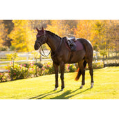 LeMieux Saddlepad Essence Jumping Damson LeMieux Saddlepad Essence Jumping Damson