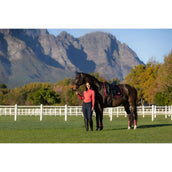 LeMieux Saddlepad Loire Classic Dressage Navy/Cranberry LeMieux Saddlepad Loire Classic Dressage Navy/Cranberry