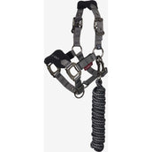 LeMieux Head Collar Set Mini Vogue Black LeMieux Head Collar Set Mini Vogue Black