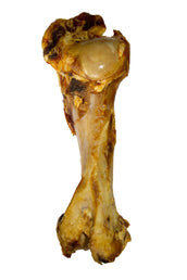 Voskes Beef Bone Voskes Beef Bone