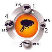 Pestigon Flea Treatment Spot-On Dog Pestigon Flea Treatment Spot-On Dog