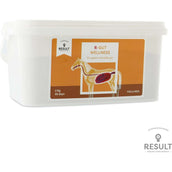 Result Equine R-Gut Welness Result Equine R-Gut Welness