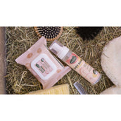 Ravene Easy Shine Wipes Ravene Easy Shine Wipes