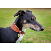 Digby & Fox Collar Greyhound Padded Tan Digby & Fox Collar Greyhound Padded Tan