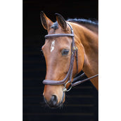 Salisbury Bridle Berkeley Australian Nut Salisbury Bridle Berkeley Australian Nut