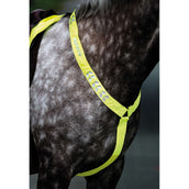 Equi-Flector Front Strap Reflective Fluor Yellow Equi-Flector Front Strap Reflective Fluor Yellow