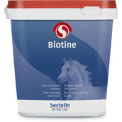 Sectolin Biotine Equivital Sectolin Biotine Equivital