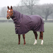 Tempest Winter Rug Turnout Typhoon 100g Black Cherry Tempest Winter Rug Turnout Typhoon 100g Black Cherry