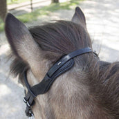 Waldhausen Icelandic Bridle Anatomic Black Waldhausen Icelandic Bridle Anatomic Black