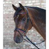 Star Snaffle Bridle Diamond English Combined Fuchsia Star Snaffle Bridle Diamond English Combined Fuchsia