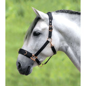 Waldhausen Cavesson Rosé Black Waldhausen Cavesson Rosé Black