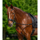 Waldhausen Reins W-Train Waldhausen Reins W-Train