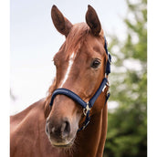 Waldhausen Halter Athletic Nightblue Waldhausen Halter Athletic Nightblue