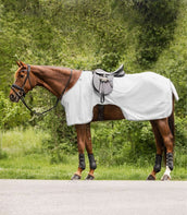 Waldhausen Anti-fly Riding Rug Protect Silver grey/Gray Waldhausen Anti-fly Riding Rug Protect Silver grey/Gray