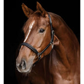 Waldhausen Halter S-Line Classy Leather Black Waldhausen Halter S-Line Classy Leather Black