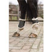 ANKY Fetlock Boots Dark Olive ANKY Fetlock Boots Dark Olive