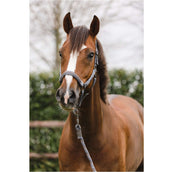 ANKY Head Collar Set Stones Steel Grey ANKY Head Collar Set Stones Steel Grey