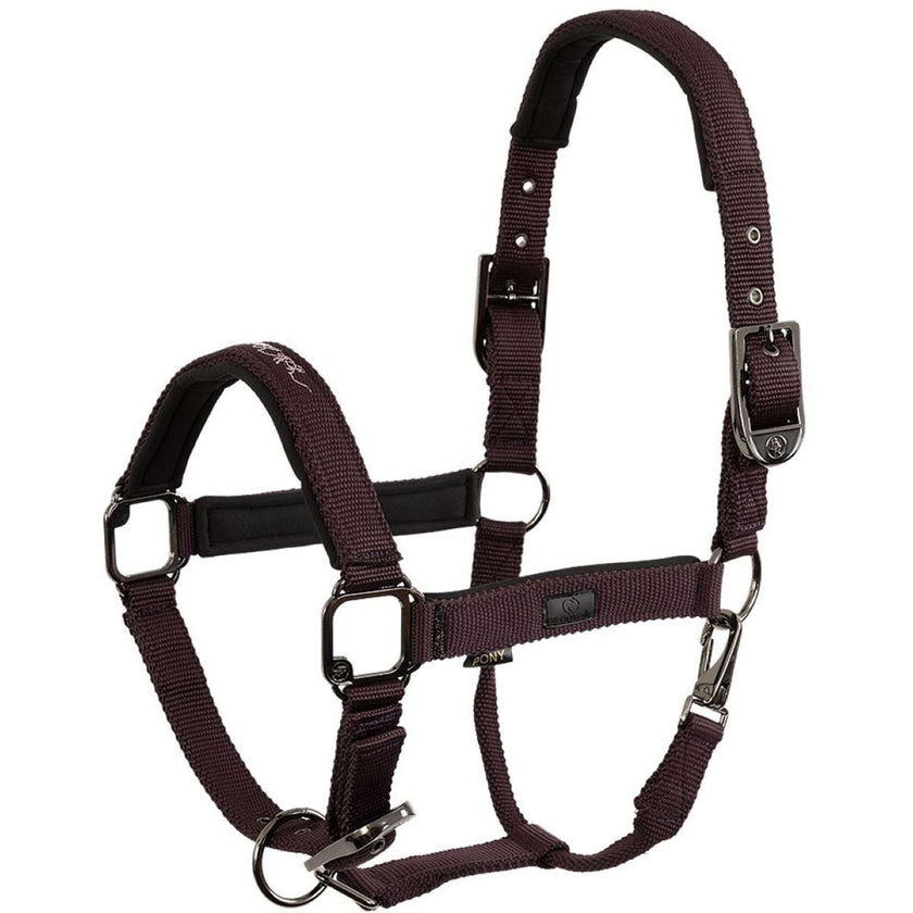 BR Halter AW25 Eevolv Josh Raisin BR Halter AW25 Eevolv Josh Raisin