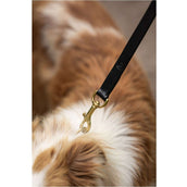 BR Dog Leash Black BR Dog Leash Black