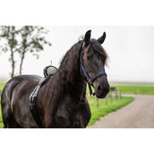 Birth Alarm Classic Birth Alarm Classic