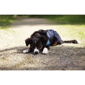 Back on Track Cooling Rug Blue Back on Track Cooling Rug Blue