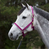 Bucas Halter Dublin Berry/Silver Bucas Halter Dublin Berry/Silver