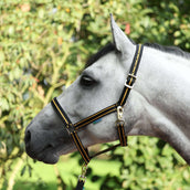 Bucas Halter Dublin Black/Gold Bucas Halter Dublin Black/Gold