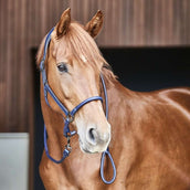 Catago Leather Halter Navy Catago Leather Halter Navy