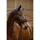 Covalliero Halter AW25 Black Covalliero Halter AW25 Black