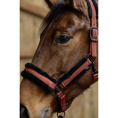 Covalliero Halter AW25 Rust Covalliero Halter AW25 Rust