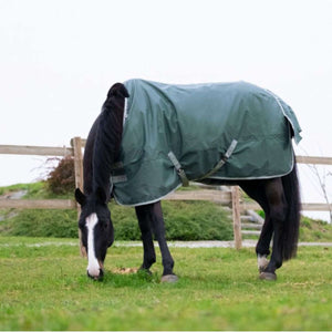 EQUITHÈME Rain Rug Tyrex 600D Recycled 0g Green EQUITHÈME Rain Rug Tyrex 600D Recycled 0g Green