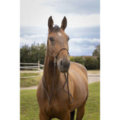 Norton Riding Halter with Reins Brown Norton Riding Halter with Reins Brown