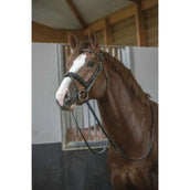 Pénélope Bridle Daily Chocolate Pénélope Bridle Daily Chocolate