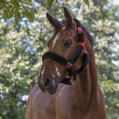 Norton Halter Full Synthetic Sheepskin Black/Red Norton Halter Full Synthetic Sheepskin Black/Red