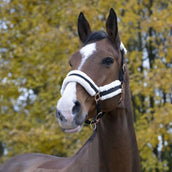 Norton Halter Confort Black Norton Halter Confort Black