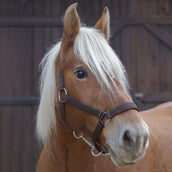 Norton Halter Pro Brown Norton Halter Pro Brown